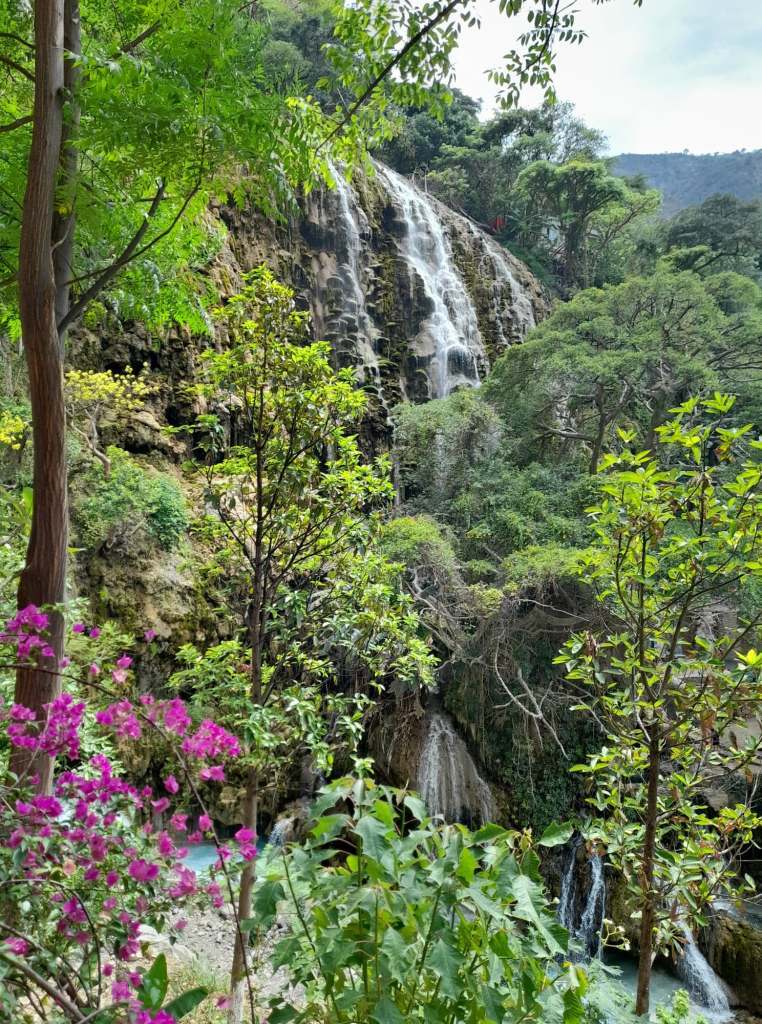 Jungle and waterfall