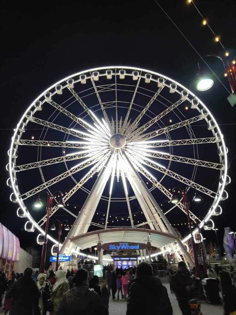 The SkyWheel lit up at nighttime