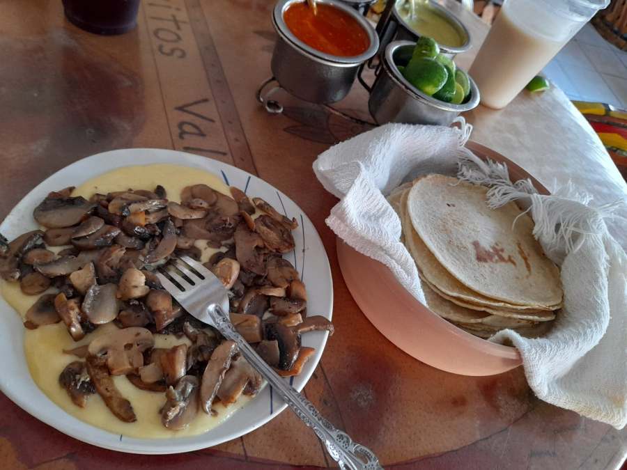 Queso Fundido with mushrooms with tortillas