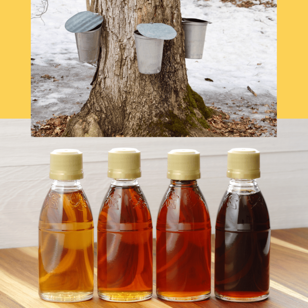 4 bottles of different types of maple syrup