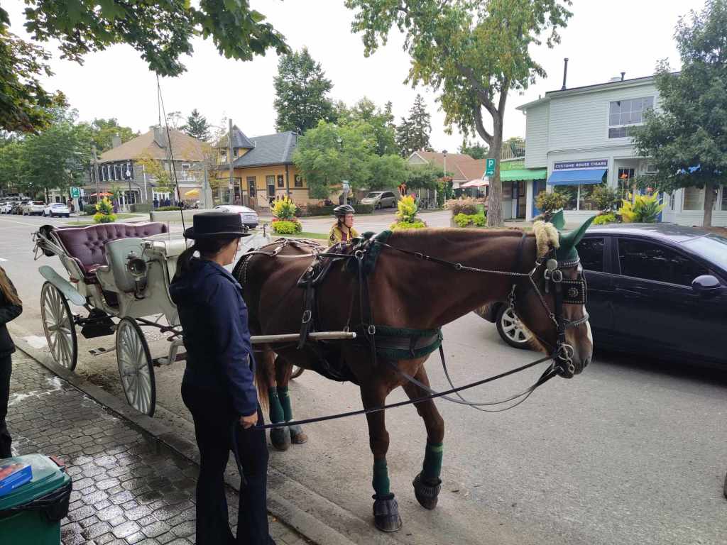 Horse and carriage rides in Niagara-On-The-Lake